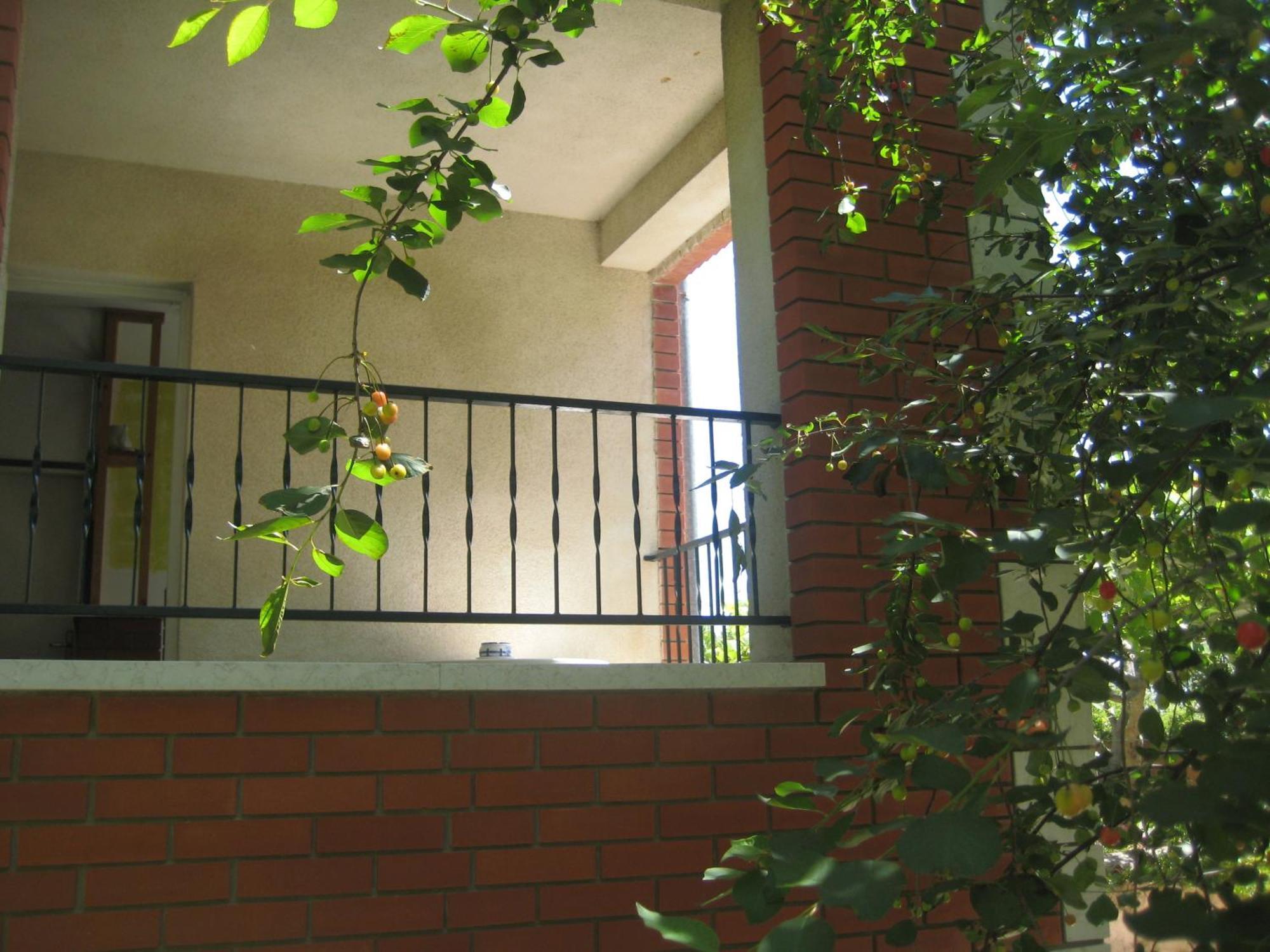 House Kate Daire Rovinj Dış mekan fotoğraf