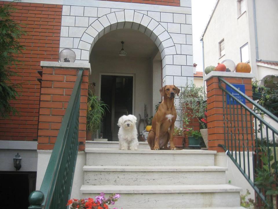 House Kate Daire Rovinj Dış mekan fotoğraf
